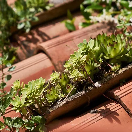 Giardino Segreto, In Centro Apartamento Trieste
