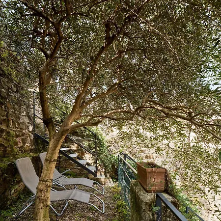 Giardino Segreto, In Centro * Trieste