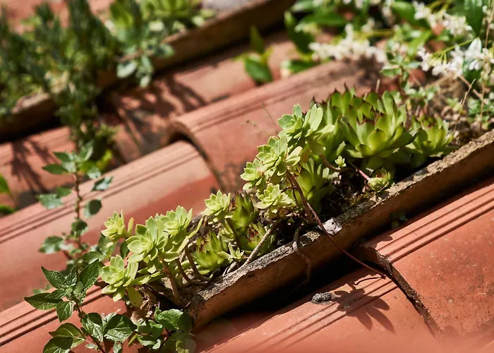 Giardino Segreto, In Centro Apartment Trieste