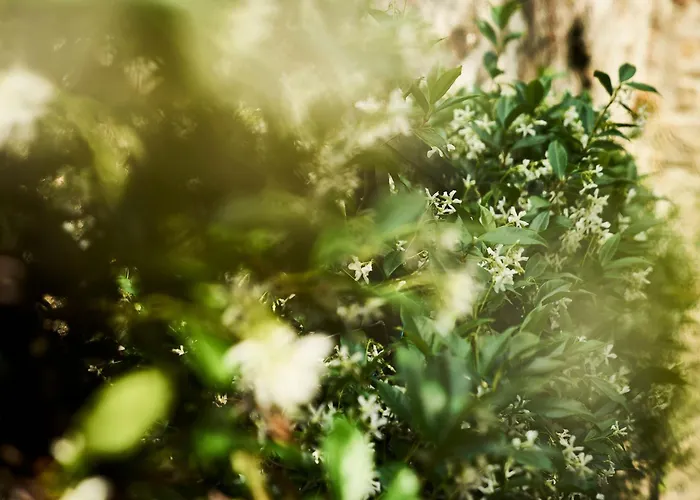 Giardino Segreto, In Centro Apartment Trieste