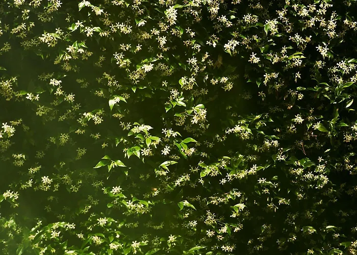 Apartment Giardino Segreto, In Centro Trieste