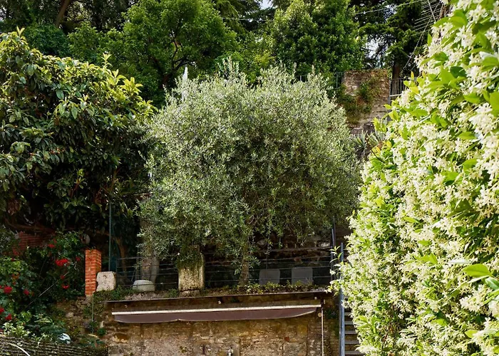 Giardino Segreto, In Centro Trieste