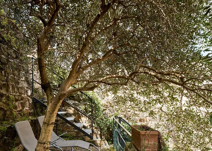 Giardino Segreto, In Centro * Trieste